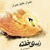 شاعرانه/ دمیدن پاره‌ای از روح خویش است در هر آنچه می‌سازی