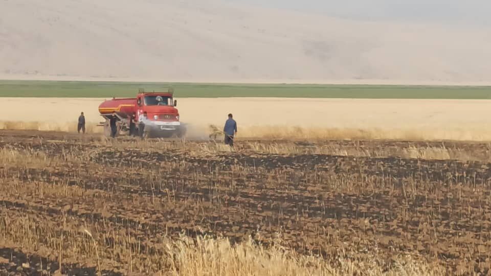 ۸ هکتار از مزارع گندم پلدختر در آتش سوخت