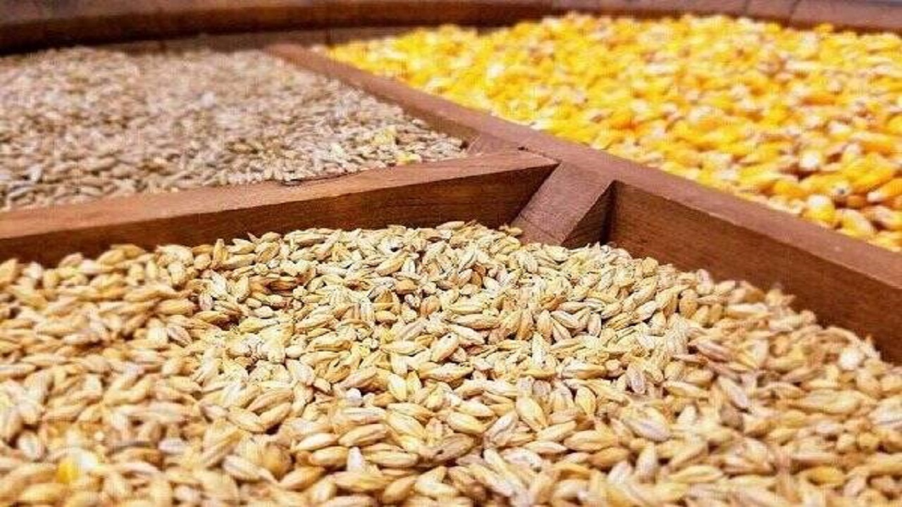 تشکیل پرونده ۱۰ میلیاردی در زمینه نهادههای دامی در یزد