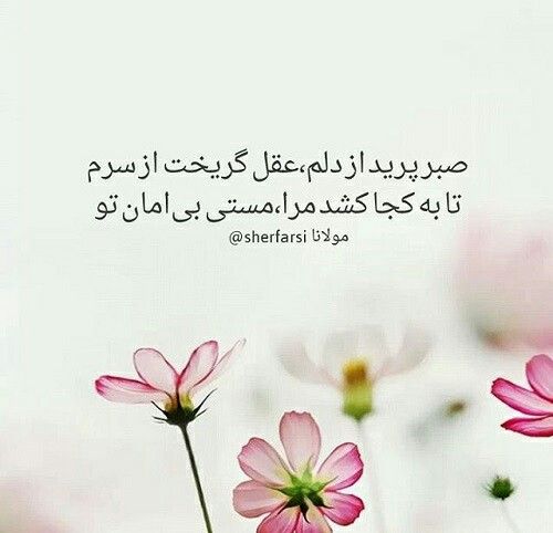 شاعرانه/صبر پرید از دلم عقل گریخت از سرم