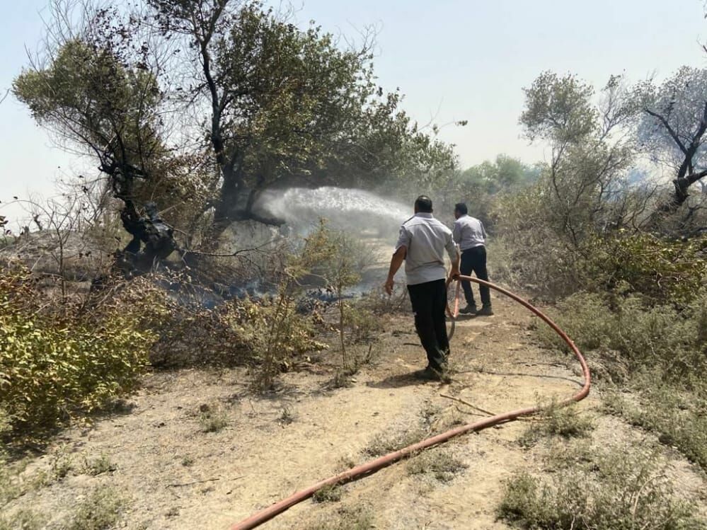 آتش‌سوزی جنگل کرخه در شهرستان شوش مهار شد