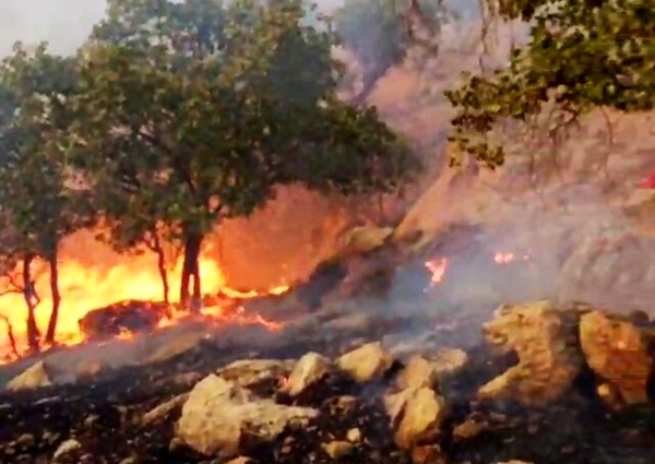 آخرین جزئیات مهار آتش‌سوزی در منطقه حفاظت شده «دیل»