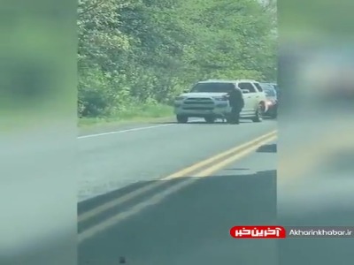توقف ماشینها و کمک به عبور دو بچه آهو