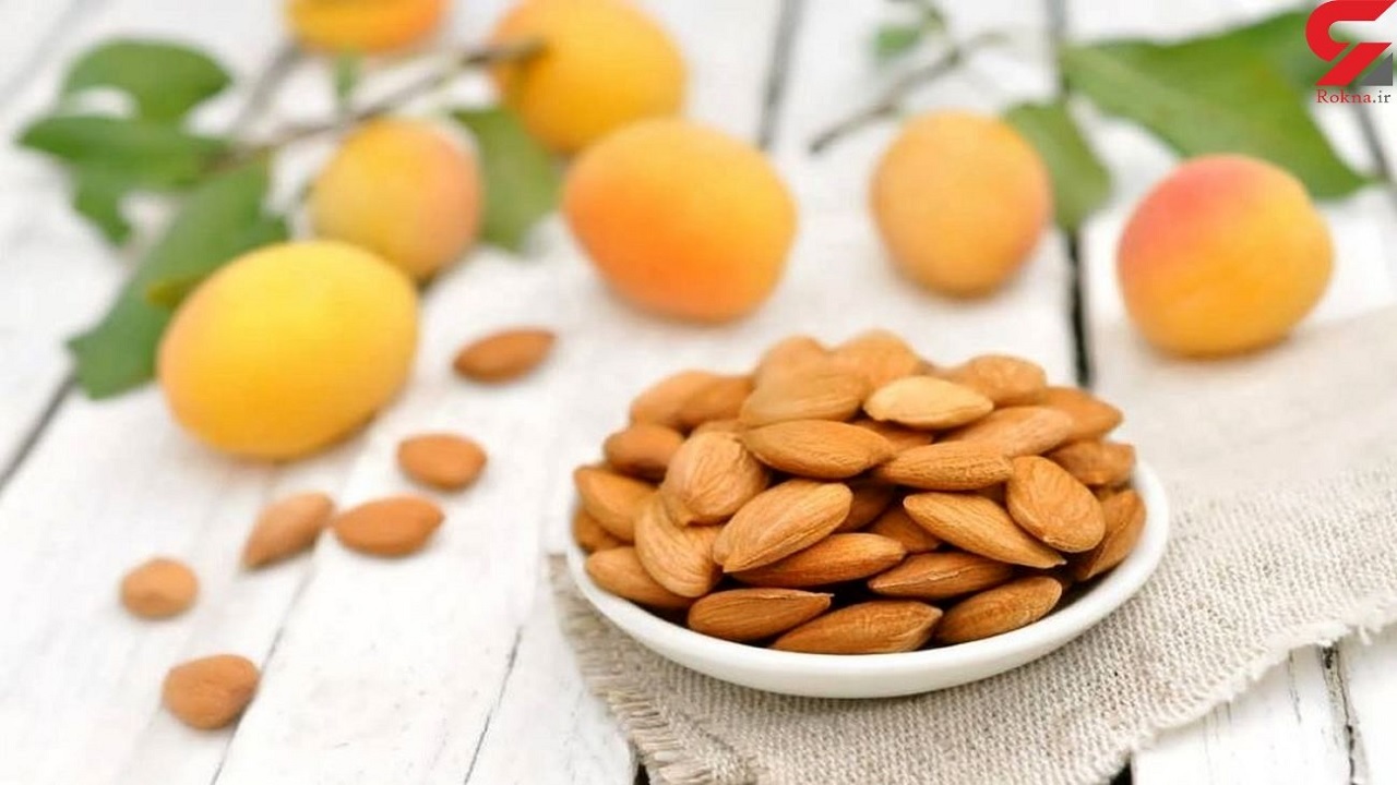 Косточки от абрикосов польза или вред. Ядра косточек абрикоса. Косточки от абрикосов польза или вред. Косточки от абрикосов польза или вред. Ядро абрикоса.