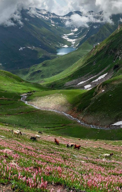 دریاچه سارال در پاکستان