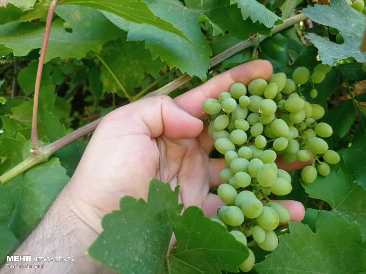 روستای ده حوض در مجاورت رودخانه‌ کارون