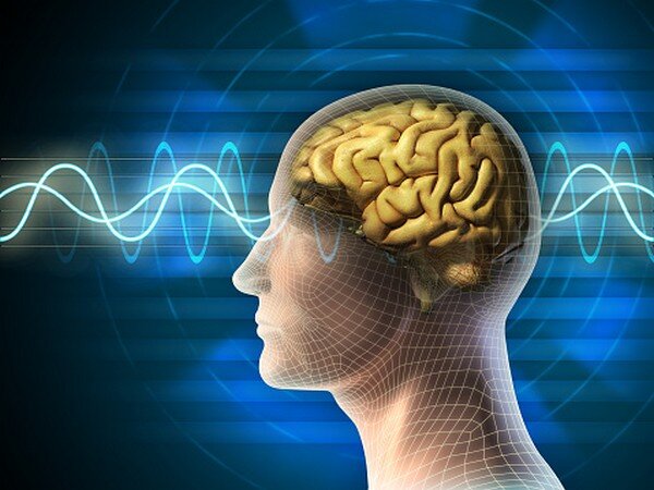 پیشبینی بازیابی مهارتهای زبانی پس از آسیب مغزی با کمک مدلسازی رایانهای