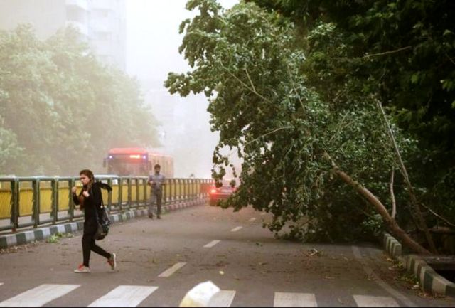وزش باد شدید در استان‌های تهران، البرز و سمنان
