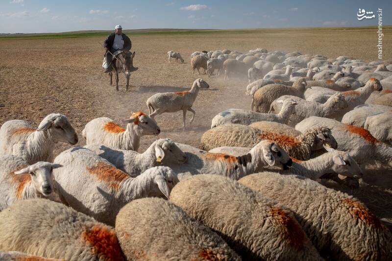 خشکسالی در ترکیه و فرونشست زمین