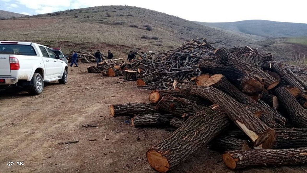 ۳۸ تُن چوب جنگلی قاچاق در مهاباد کشف و ضبط شد