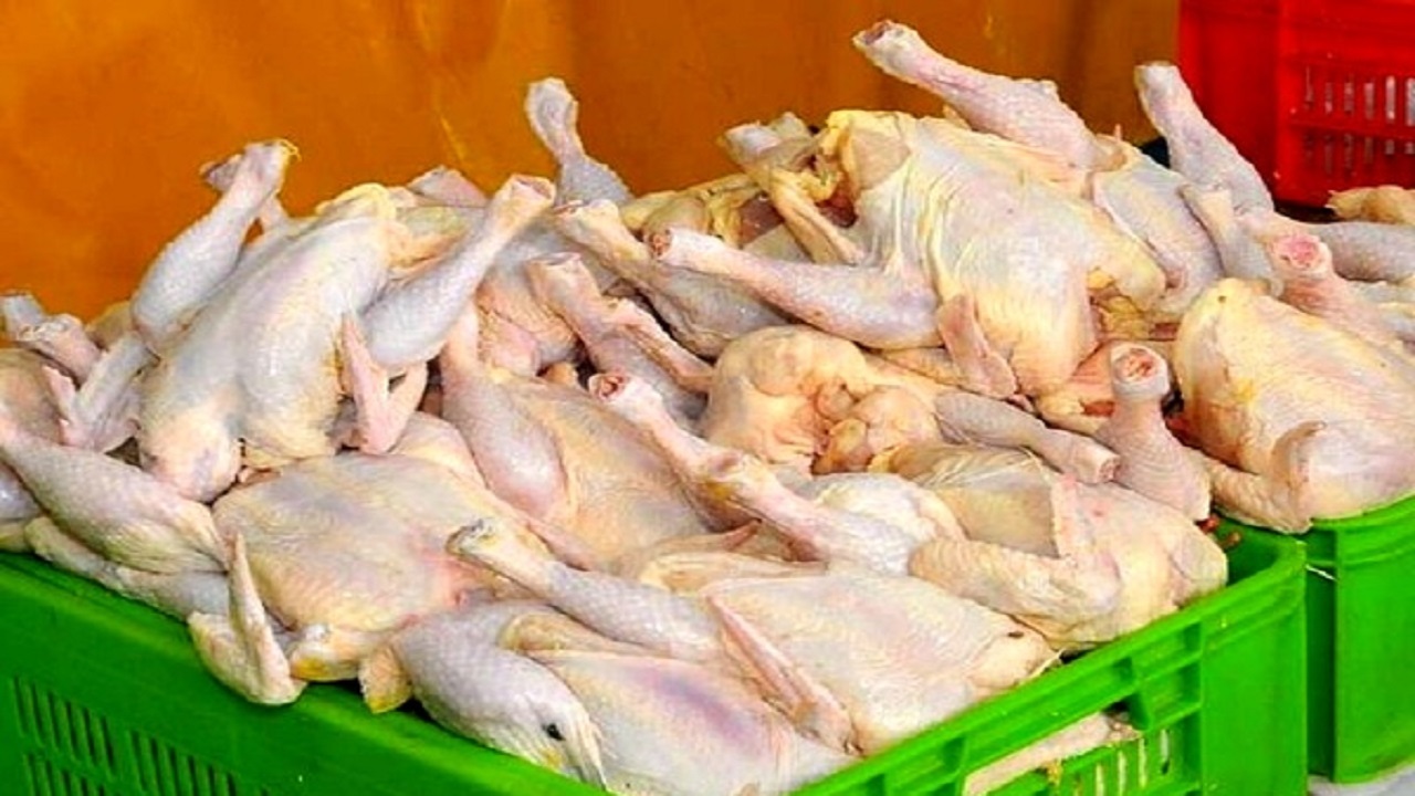 جریمه ۳ میلیاردی پرونده عرضه خارج از شبکه مرغ