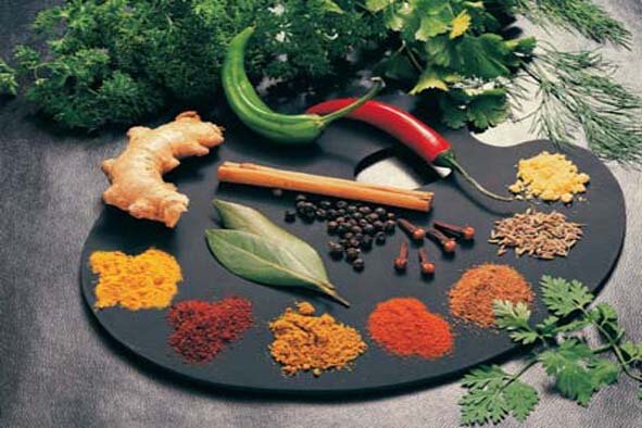 شناسایی ۴۵۰ گونه گیاه دارویی در آذربایجانشرقی
