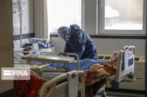 معاون دانشگاه علوم پزشکی بوشهر: روند ابتلا به کرونا در استان افزایش یافت
