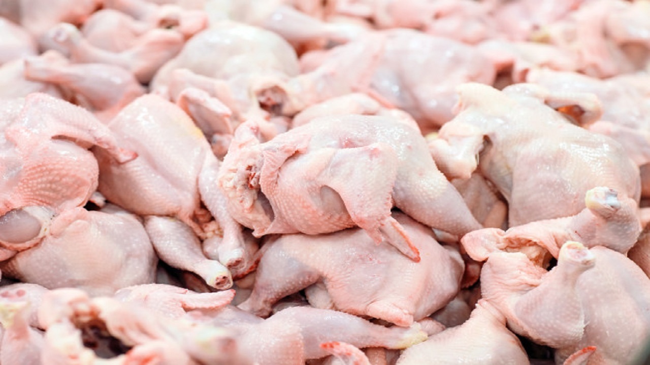 ۶۵ هزار تن گوشت مرغ در کشور تولید شد
