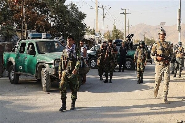 کشته و زخمی شدن ۳۳۸ عضو طالبان در شبانه روز گذشته