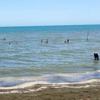 دریای کاسپین جان دو جوان را در آستارا گرفت
