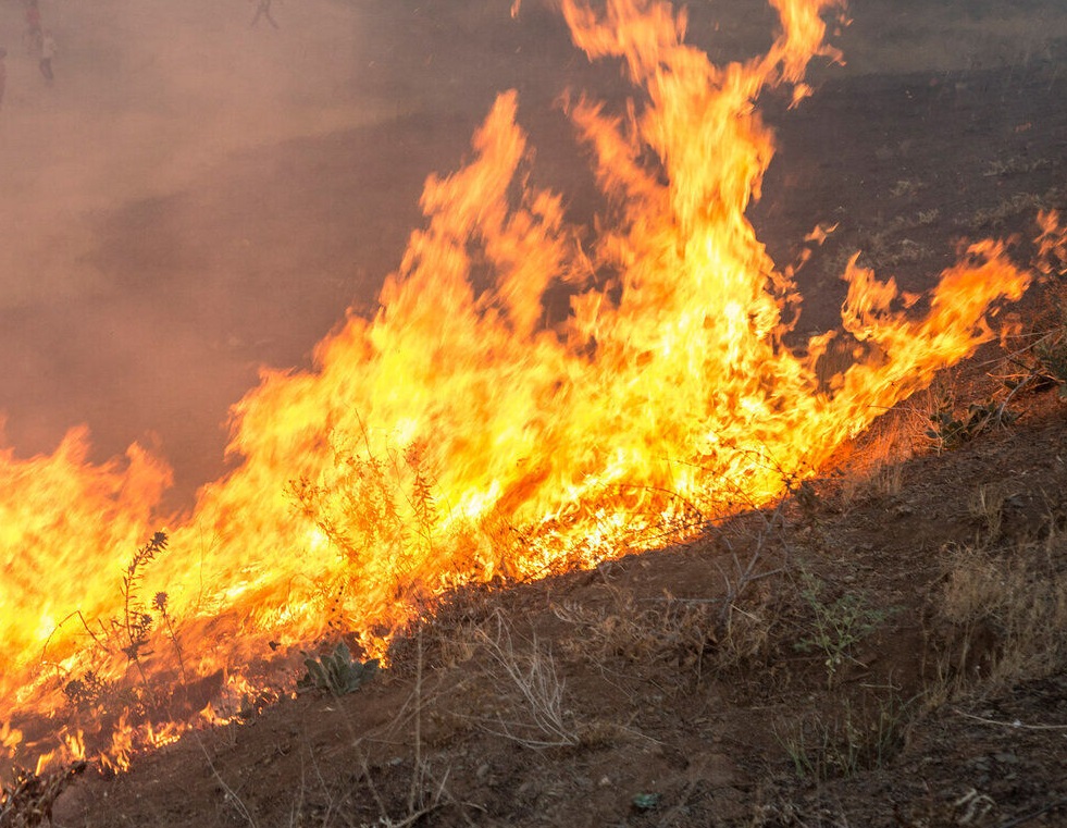 آتش‌ بار دیگر در جنگل‌های سالند دزفول شعله‌ور شد