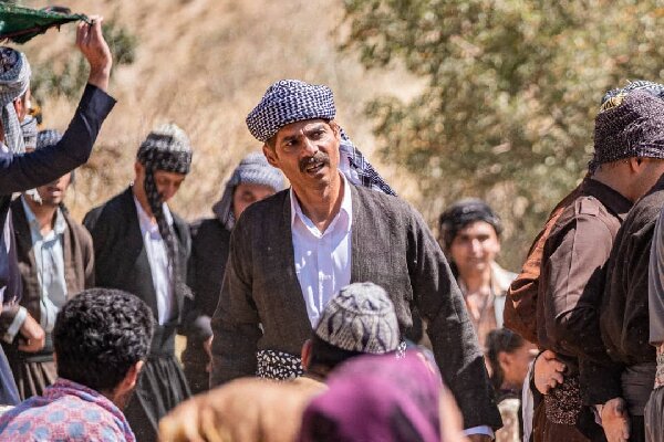 «درخت گردو» از اکران انصراف داد