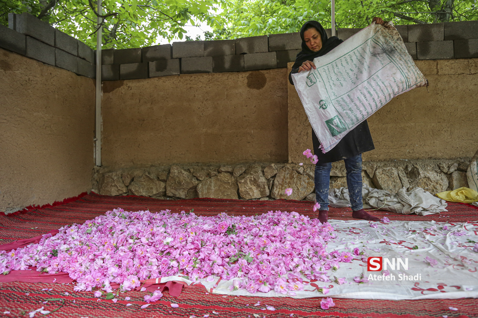 در «دهکده گل» بجنورد چه می گذرد؟