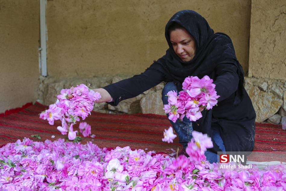 در «دهکده گل» بجنورد چه می گذرد؟