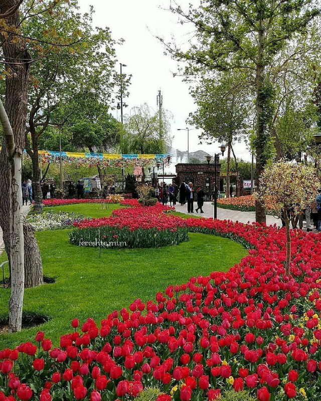 باغ گل‌ها در بوستان چمران