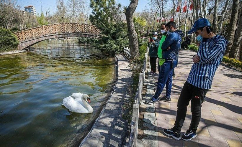 باغ گل‌ها در بوستان چمران