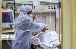 رئیس دانشگاه علوم پزشکی: شرایط بیمارستان‌های استان بوشهر حاد است