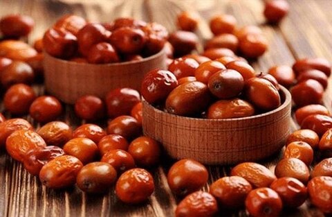 تاثیر پماد سنجد تلخ بر زخمهای سوختگی