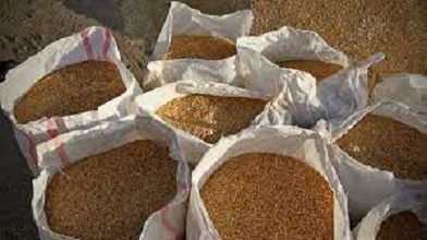 کشف ۵۰ تن گندم احتکاری در خدابنده