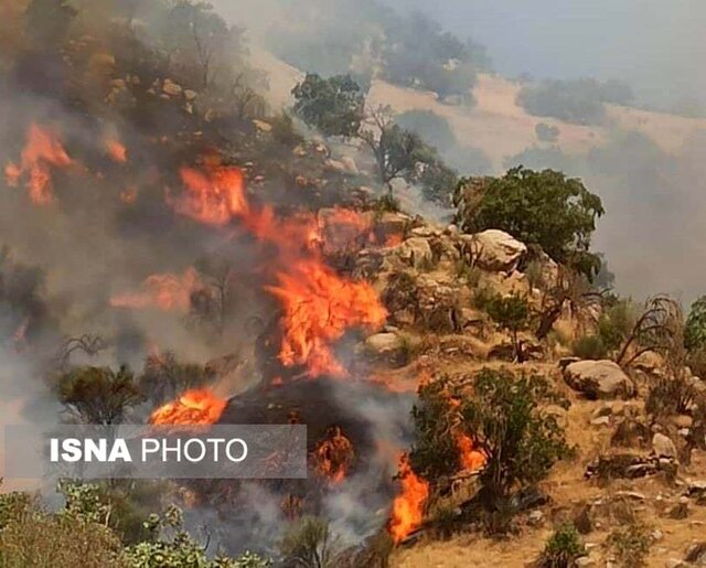 مهار آتشسوزی جنگلهای نارک گچساران