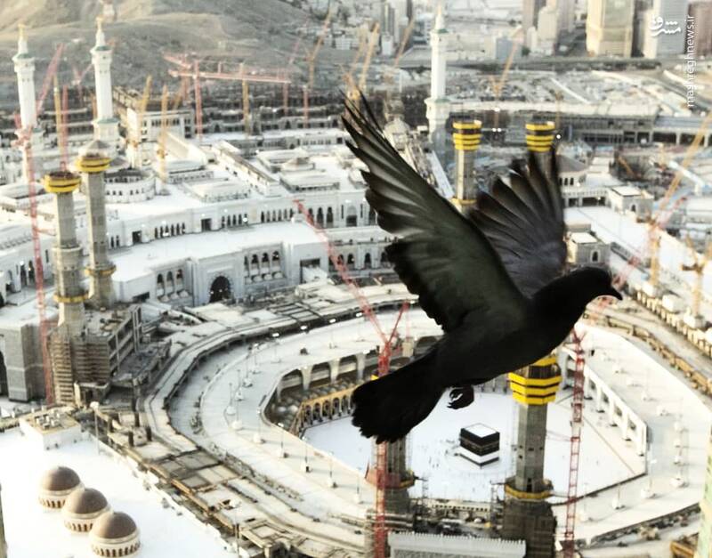 عکس/ آغاز مراسم محدود حج