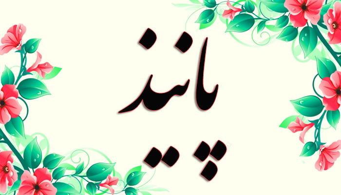 انتخاب اسم؛ معنی اسم «پانیذ» چیست؟