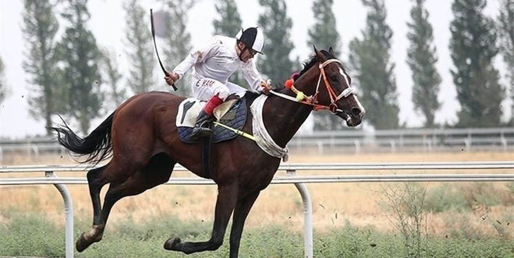 مسابقات عجیب اسب سواری در آفریقا