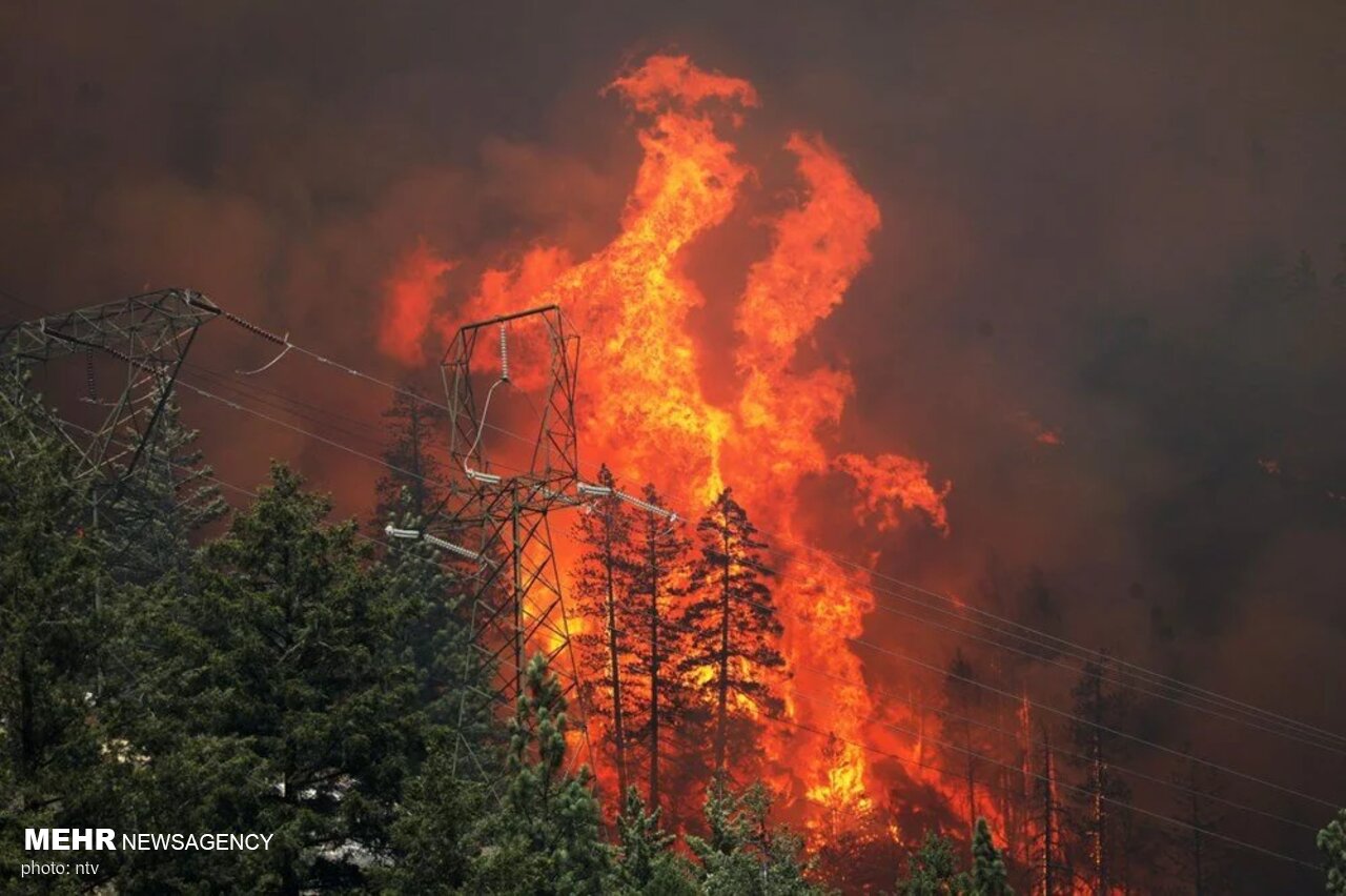 عکس/ جهنم کالیفرنیا؛ آتش سوزی گسترده در جنگل ها