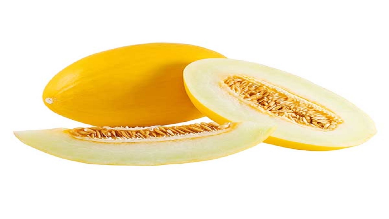 حقایق شگفت انگیز درباره ملون طلایی