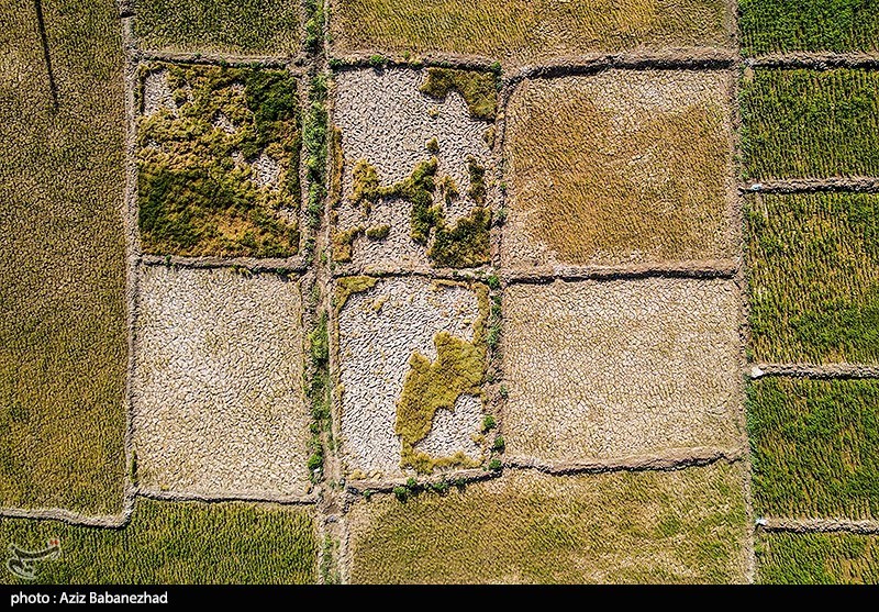 عکس/ خشک شدن رودخانه کشکان لرستان