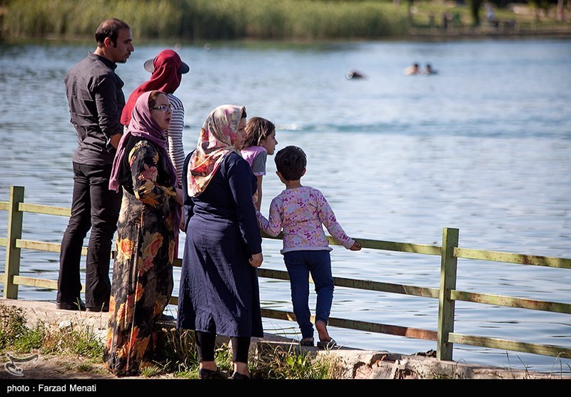 عکس/ برداشت انگور از تاکستان های غزاویه