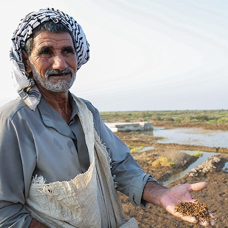 جاریشدن مجدد مایه حیات در دشت آزادگان