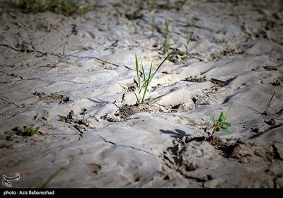 خشک‌شدن رودخانه کشکان لرستان