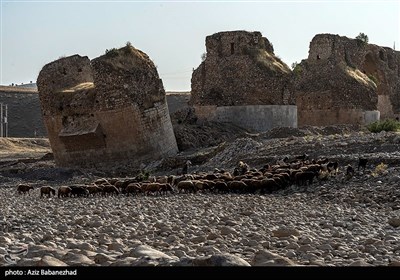 خشک‌شدن رودخانه کشکان لرستان