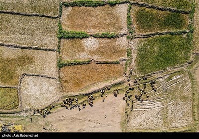 خشک‌شدن رودخانه کشکان لرستان