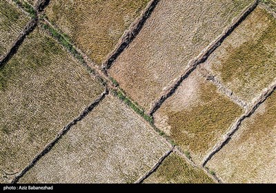 خشک‌شدن رودخانه کشکان لرستان