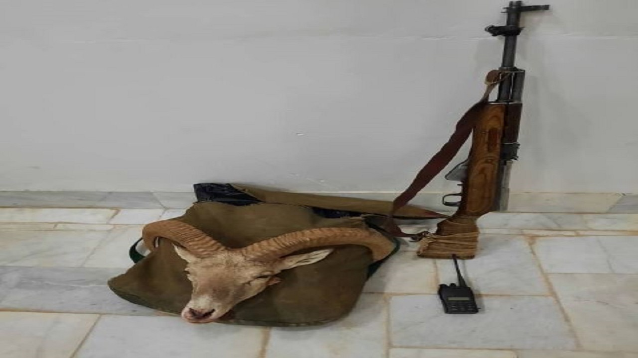 شکارچی غیربومی در دام ماموران حفاظت محیط‌زیست یزد