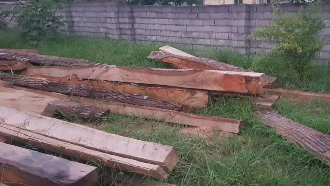 کشف ۴۰ تن چوب جنگلی قاچاق در اطاقور لنگرود