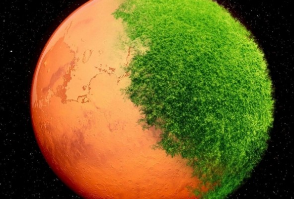 حیات مریخی شباهتی با حیات زمینی ندارد