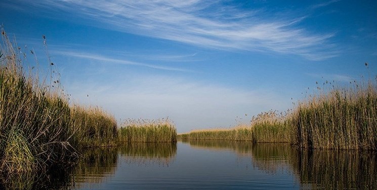 هورالعظیم جان گرفت 