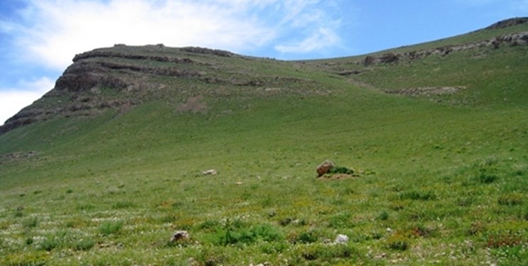 ابطال پروانه چرای دام مرتع‌داران متخلف در آرادان
