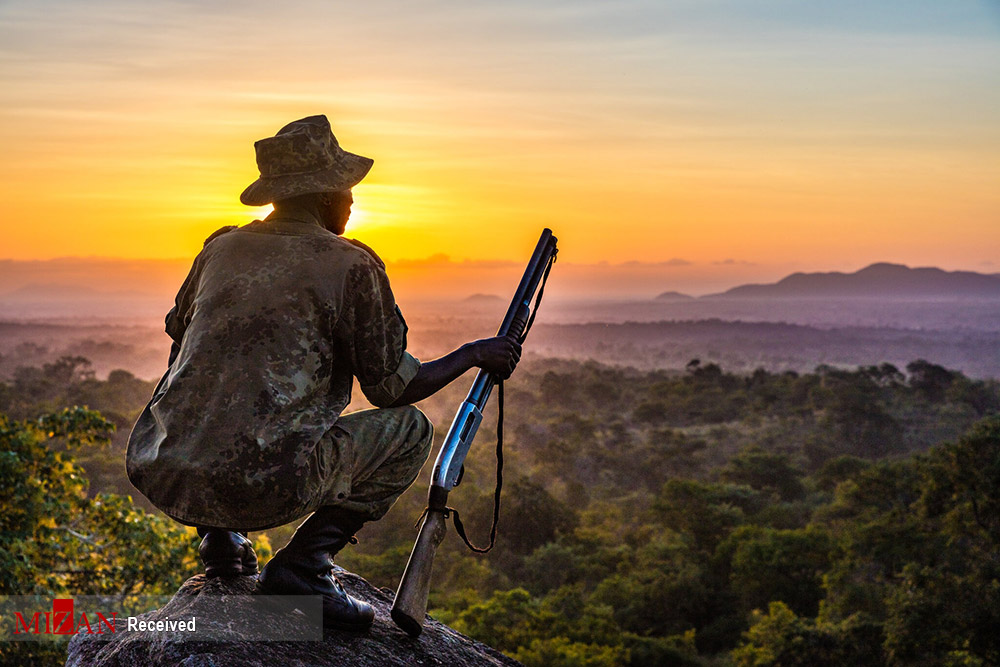نمایی از طبیعت زیبای کشور مالاوی