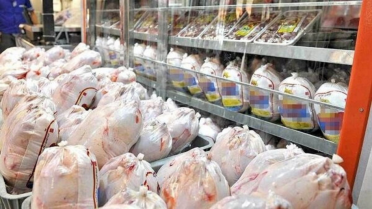 توزیع مرغ منجمد برای تنظیم بازار در باغملک