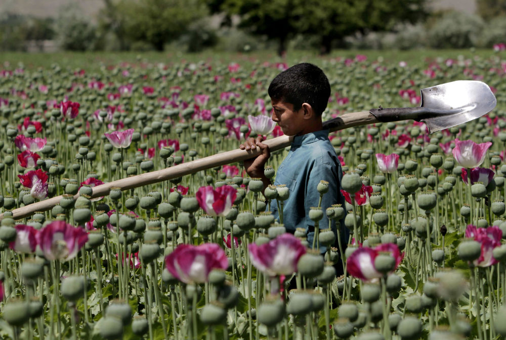 طبیعت بکر افغانستان